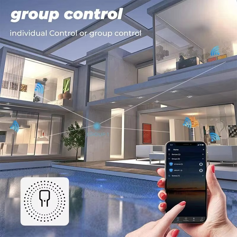 Tuya mini 16a wifiスイッチスマートライフア - Smart Home Diy のレビューと価格