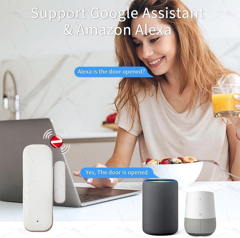 Zigbee 窓ドアセンサー検出磁気窓センサードア開閉アラー - Smart Home Blog のレビューと価格