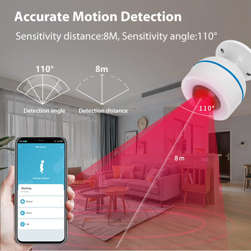 NEO Tuya Matter Thread スマート PI - Smart Home Nas のレビューと価格