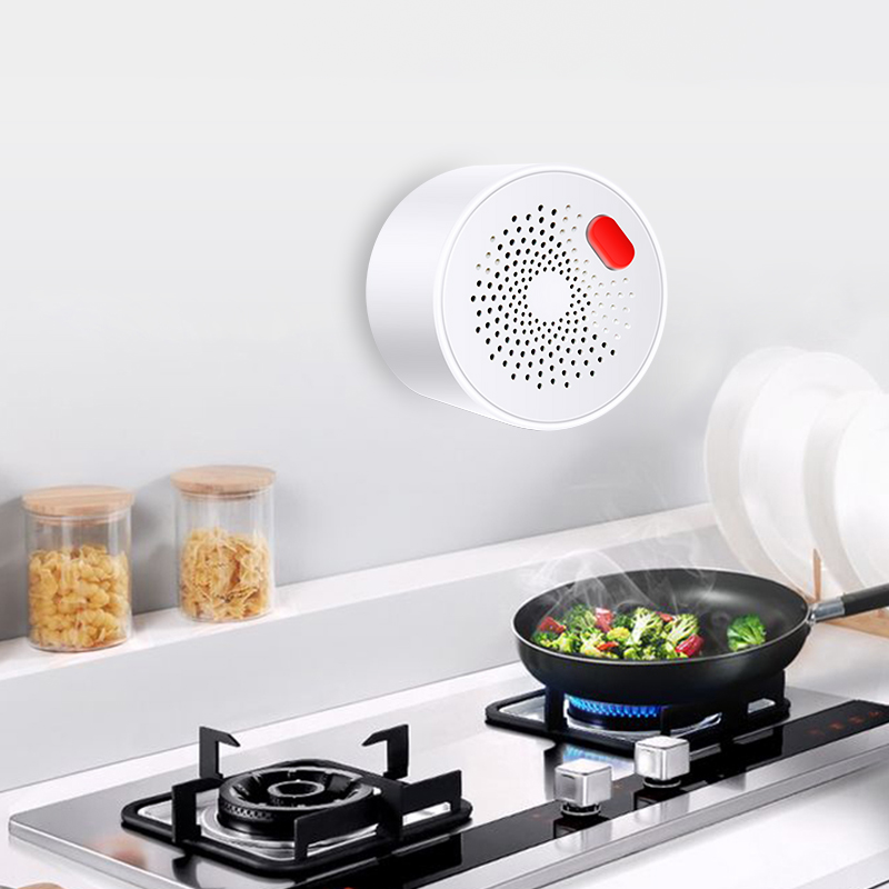 Tuya-インテリジェント家庭用ガスセンサー,不燃性,ガス漏 - Smart Home Blog のレビューと価格