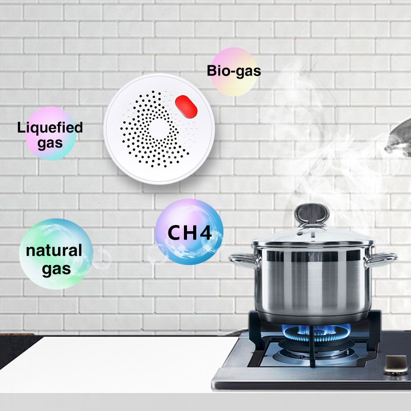 Tuya-インテリジェント家庭用ガスセンサー,不燃性,ガス漏 - Smart Home Blog のレビューと価格
